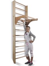 Дитячий спортивний куточок SportBaby Kombi 2-240